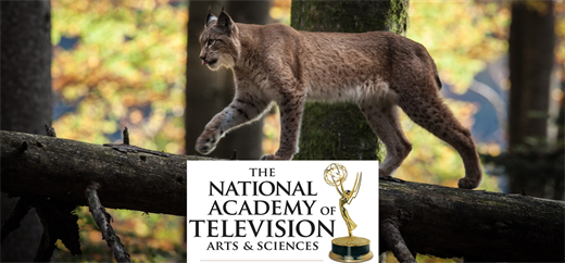 Nomination Emmy Forest of the Lynx © Science Vision