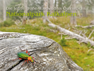Titelseite Bildband - Letzte große Waldwildnis Österreichs  - Nationalpark Kalkalpen (c) Marek