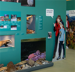 AUSSTELLUNG Funde erzählen im Besucherzentrum Ennstal © Nationalpark Kalkalpen