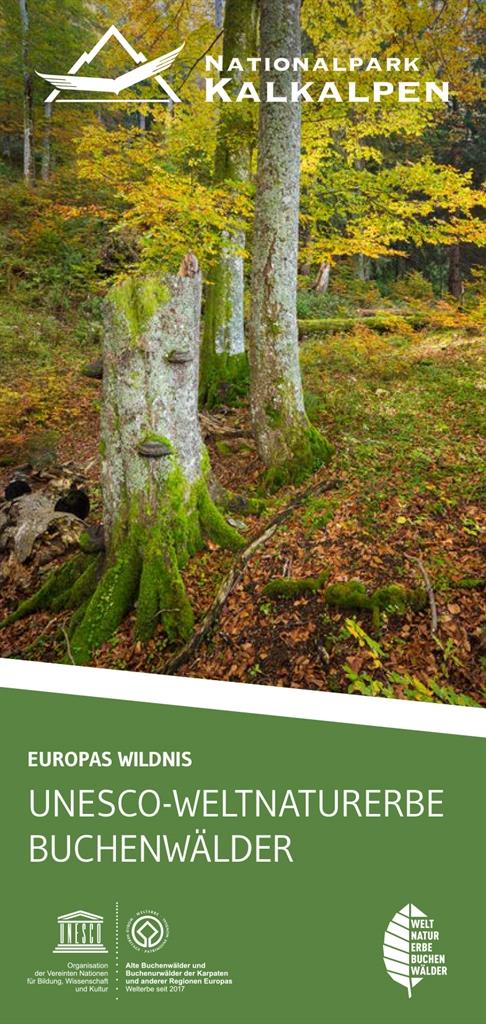Folder UNESCO Weltnaturerbe Buchenwälder im Nationalpark Kalkalpen, Titelblatt Folder
