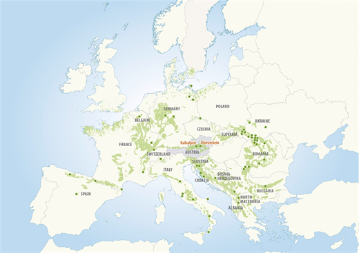 Map_Ancient and Primeval Beech Forests of the Carpathians and Other Regions of Europe