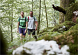 Welterbe Buchenwälder am Wildnistrail Buchensteig erwandern