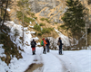 Winterwanderung mit dem Ranger in den UNESCO-Welterbe Buchenwald im Nationalpark Kalkalpen