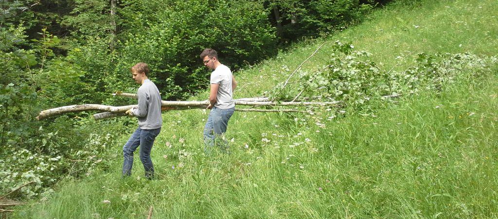 Jugendliche helfen bei der Almpflege mit