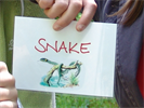 Snake © Nationalpark Kalkalpen