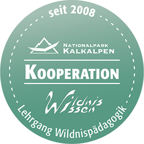 Ausbildung Wildnispädagogik in Kooperation mit WildnisWissen und Nationalpark Kalkalpen