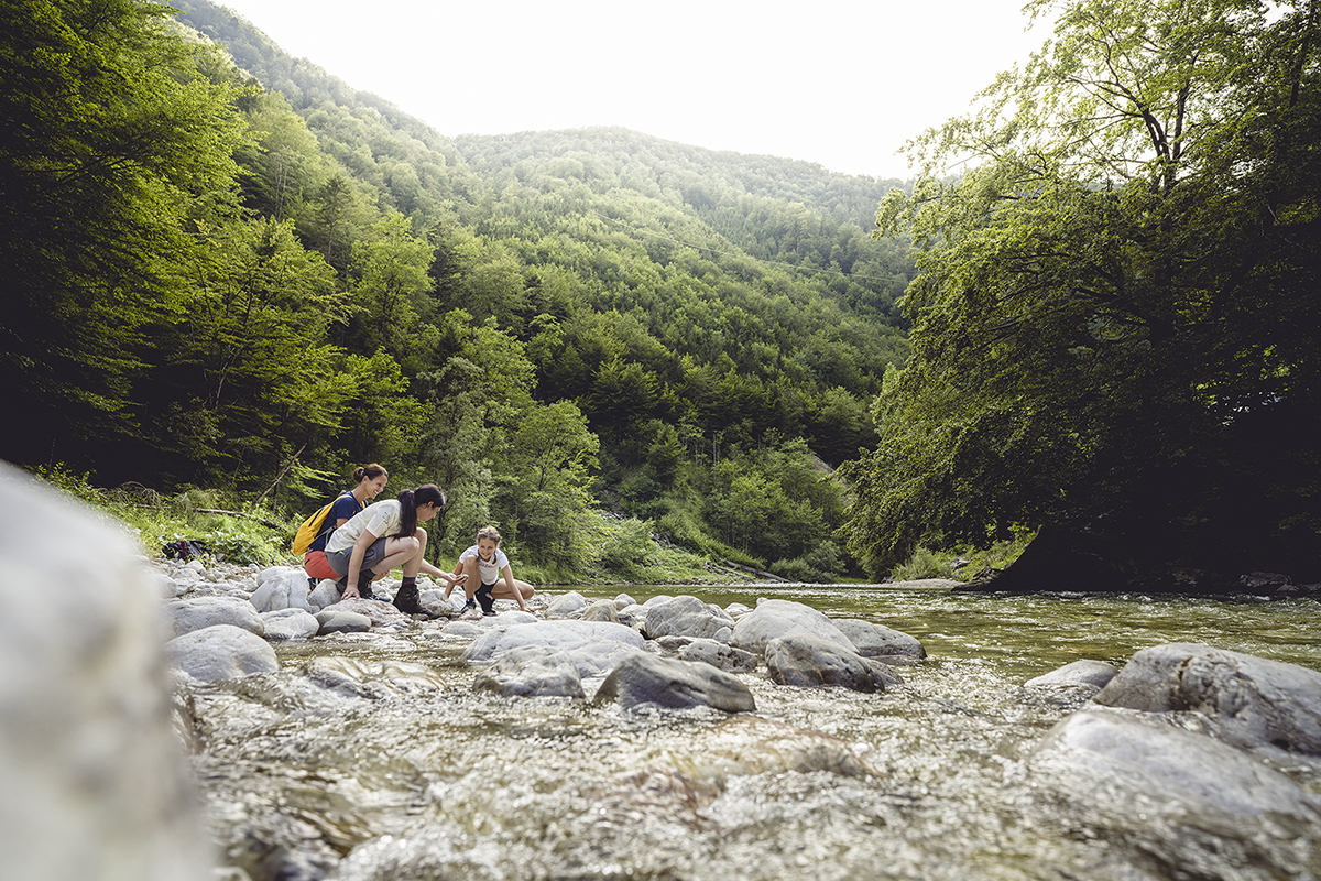 Mit der Nationalpark Rangering entdeckst du geheimnisvolle Wasserlebewesen im Bergbach 