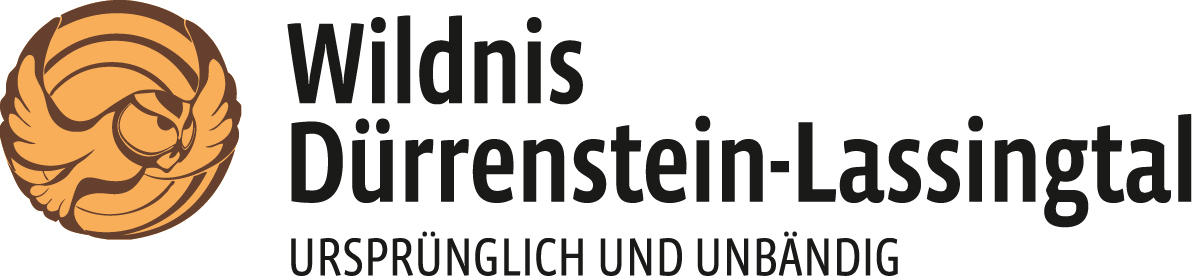 Wildnis Dürrenstein - Lassingtal