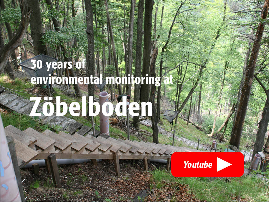 link zum youtube: 30 years of environmental monitoring at Zöbelbodn